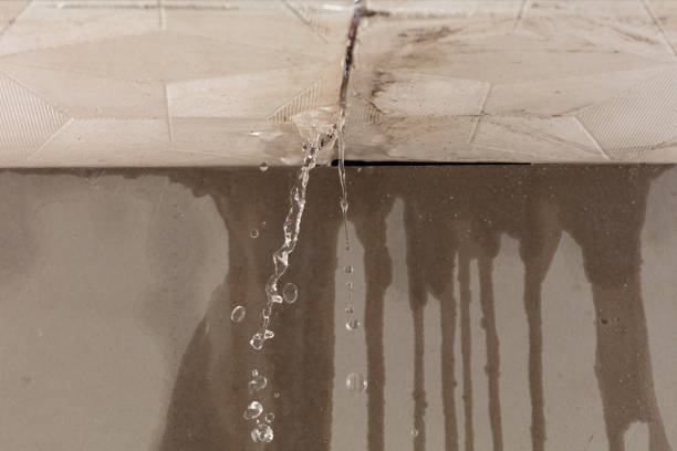 Professional Sewage Cleanup technician working in Centreville, IL